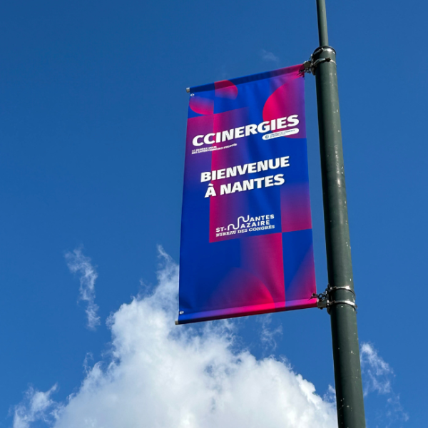 photos pavoisement congres nantes