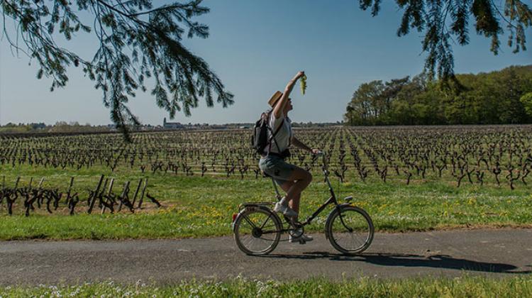 LES VIGNES A VELO LE VOYAGE A NANTES Bureau des Congr s Nantes